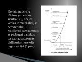 Kokybės kaštai skaidrės 7 puslapis