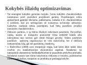 Kokybės kaštai skaidrės 8 puslapis