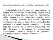 Kokybės kaštai skaidrės 10 puslapis