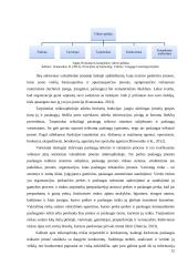 Klaipėdos valstybinio jūrų uosto rinkodaros komplekso sandaros tyrimas 12 puslapis