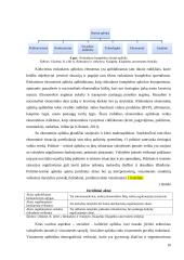 Klaipėdos valstybinio jūrų uosto rinkodaros komplekso sandaros tyrimas 10 puslapis