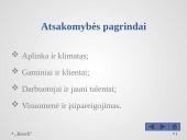 Prezentacija apie "Bosch" 7 puslapis