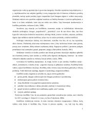 Konfliktų valdymas referatas 5 puslapis