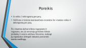 B grupės vitaminai 11 puslapis