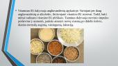 B grupės vitaminai 4 puslapis