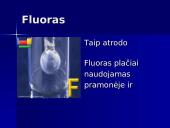 Halogenų panaudojimas visuomenėje 6 puslapis