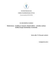 Modernizmas – konfliktas ir naujovės