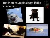 Labradoro retriveris 9 puslapis