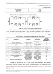 Vairavimo mechanizmas 12 puslapis