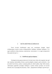 Skystų krovinių klasifikacija ir transportavimas 4 puslapis