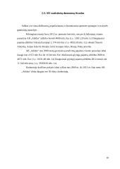 AB „Adidas“ statistinių duomenų rinkimas, sisteminimas ir analizė 10 puslapis