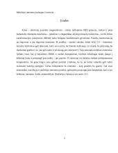 Mobiliojo interneto paslaugos Lietuvoje 2 puslapis