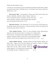 Mobiliojo interneto paslaugos Lietuvoje 12 puslapis