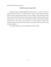 Mobiliojo interneto paslaugos Lietuvoje 13 puslapis