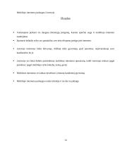 Mobiliojo interneto paslaugos Lietuvoje 14 puslapis