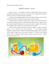 Mobiliojo interneto paslaugos Lietuvoje 3 puslapis