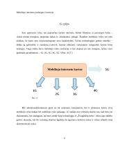 Mobiliojo interneto paslaugos Lietuvoje 6 puslapis