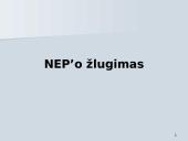 NEP'as ir jo esmė 12 puslapis