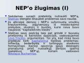 NEP'as ir jo esmė 13 puslapis