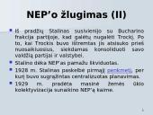 NEP'as ir jo esmė 14 puslapis