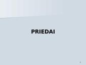 NEP'as ir jo esmė 18 puslapis