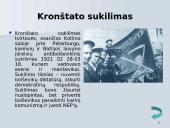 NEP'as ir jo esmė 19 puslapis