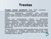 NEP'as ir jo esmė 20 puslapis