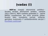 NEP'as ir jo esmė 3 puslapis