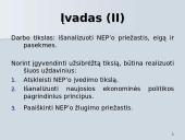 NEP'as ir jo esmė 4 puslapis