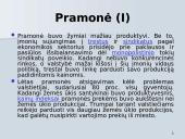 NEP'as ir jo esmė 9 puslapis