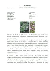 Vienmetės ir dvimetės gėlės 12 puslapis