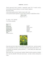 Vienmetės ir dvimetės gėlės 20 puslapis