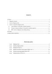 Lietuva ir tarptautinė obligacijų rinka 2 puslapis