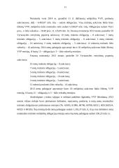 Lietuva ir tarptautinė obligacijų rinka 11 puslapis