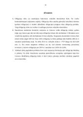 Lietuva ir tarptautinė obligacijų rinka 16 puslapis