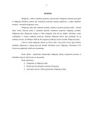 Lietuva ir tarptautinė obligacijų rinka 3 puslapis