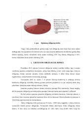 Lietuva ir tarptautinė obligacijų rinka 7 puslapis