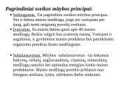 Sveikos mitybos pagrindinės taisyklės 2 puslapis
