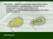 Kvėpavimo organų ligų profilaktika 11 puslapis