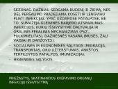 Kvėpavimo organų ligų profilaktika 16 puslapis