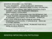 Kvėpavimo organų ligų profilaktika 4 puslapis