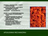 Kvėpavimo organų ligų profilaktika 6 puslapis