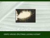 Kvėpavimo organų ligų profilaktika 10 puslapis