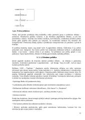 UAB ,,Čipolinas" verslo planas 13 puslapis