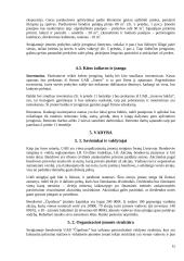 UAB ,,Čipolinas" verslo planas 16 puslapis