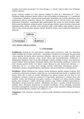 UAB ,,Čipolinas" verslo planas 17 puslapis