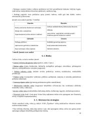 UAB ,,Čipolinas" verslo planas 19 puslapis