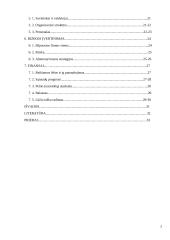 UAB ,,Čipolinas" verslo planas 3 puslapis