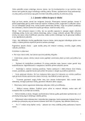 UAB ,,Čipolinas" verslo planas 8 puslapis