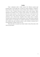 Kinijos transporto sistema 2 puslapis